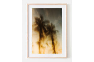 Sundown Paradise - Palms Collection