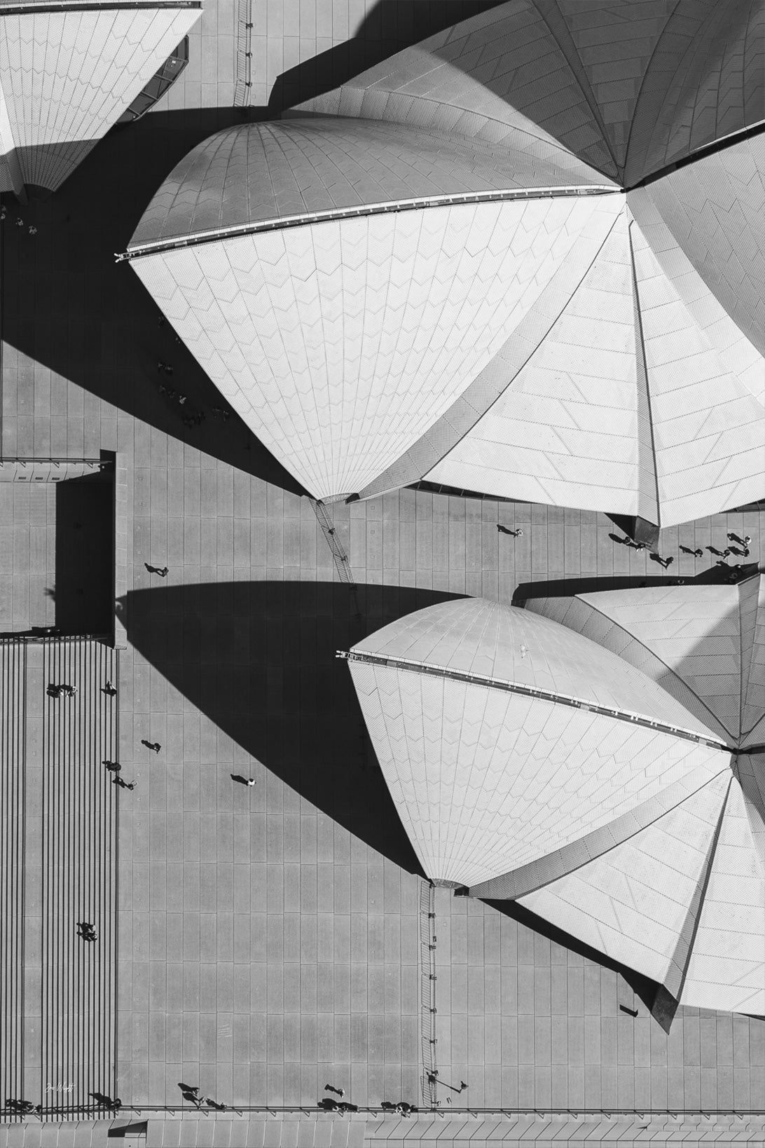 Concrete Shells - Sydney, NSW Australia