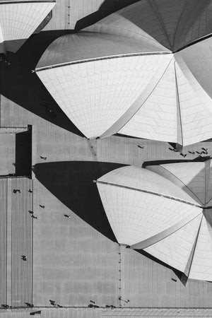 Concrete Shells - Sydney, NSW Australia