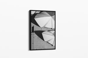 Concrete Shells - Sydney, NSW Australia