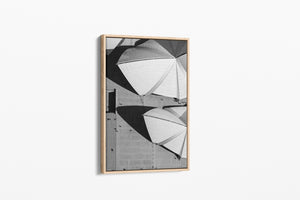 Concrete Shells - Sydney, NSW Australia