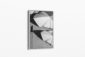 Concrete Shells - Sydney, NSW Australia