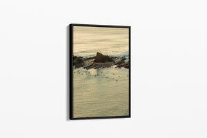 Currumbin Beach Aerial - Gold Coast, Australia