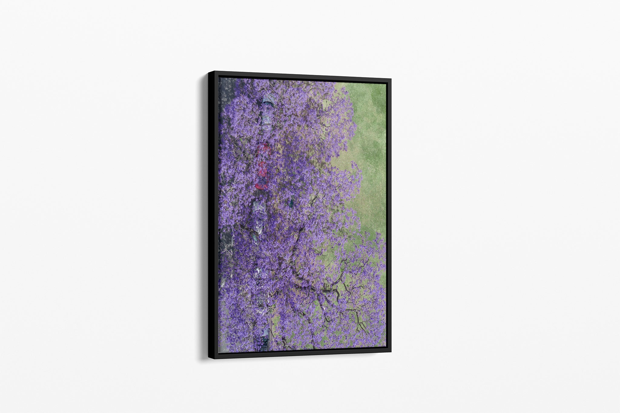 Bloom Boulevard - Canvas Float Frame Black