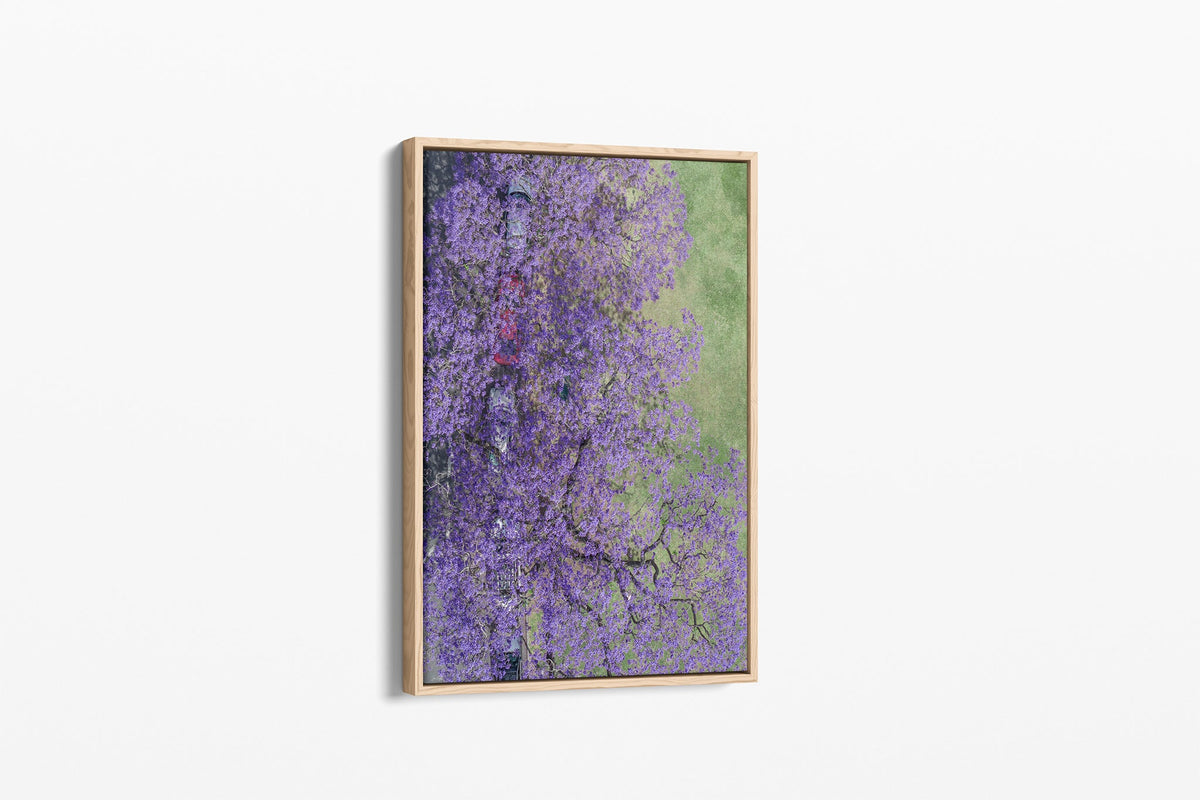 Bloom Boulevard - Canvas Float Frame Oak