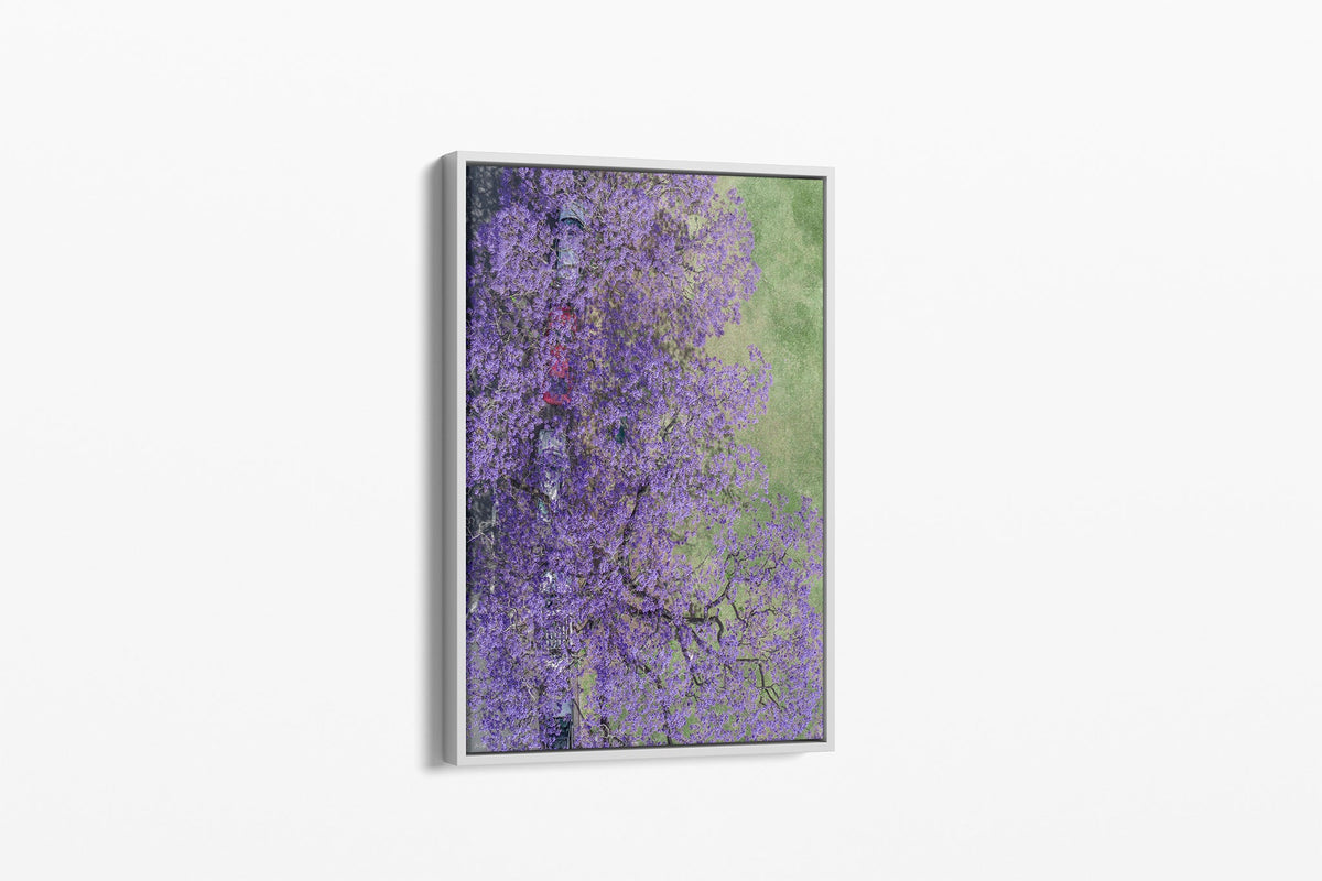 Bloom Boulevard - Canvas Float Frame White