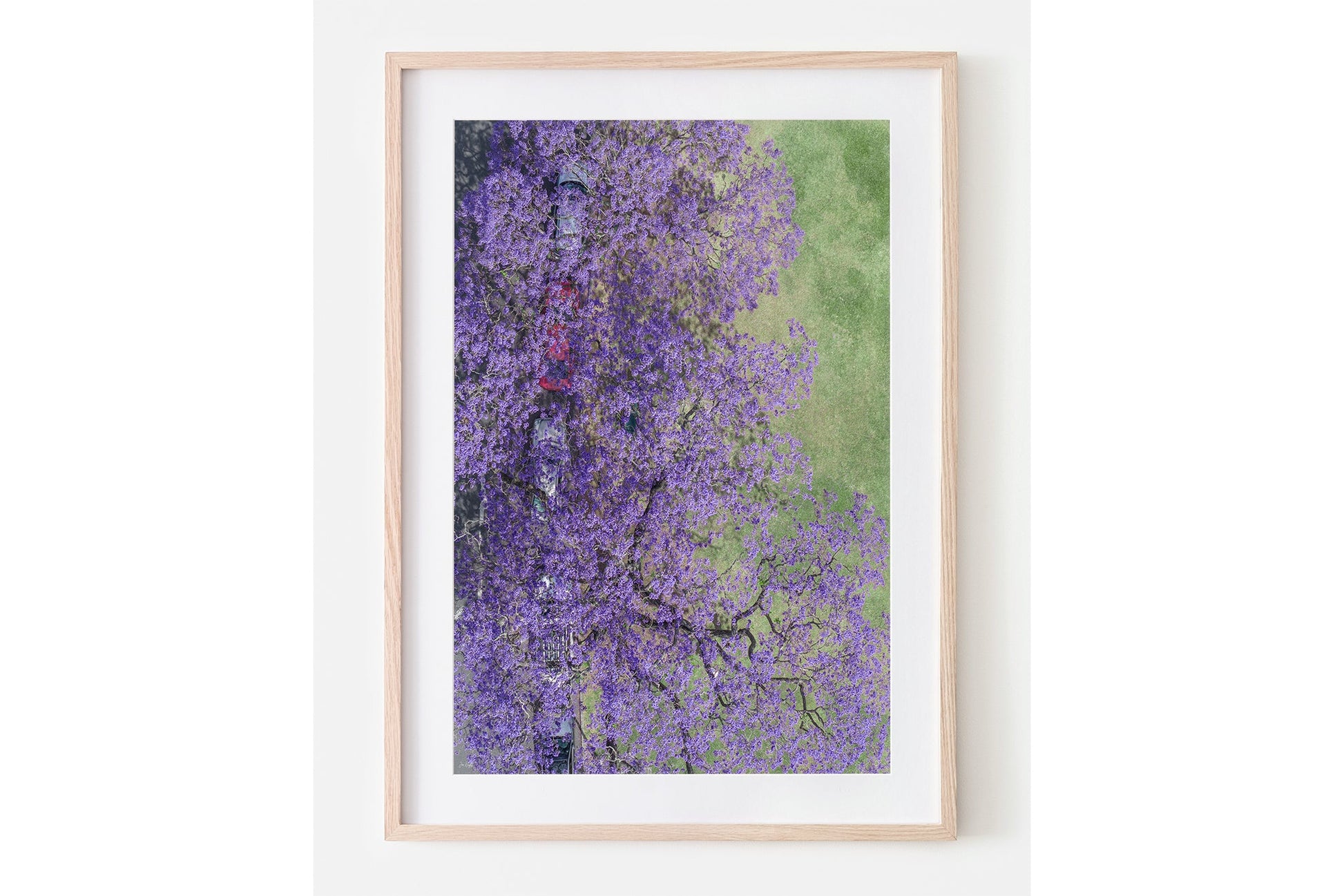 Bloom Boulevard - Oak Framed Print