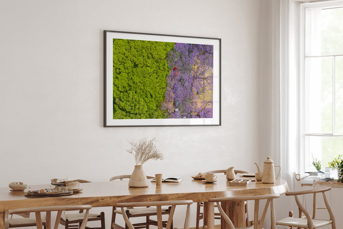Purple Parade - Black Frame Oak Table