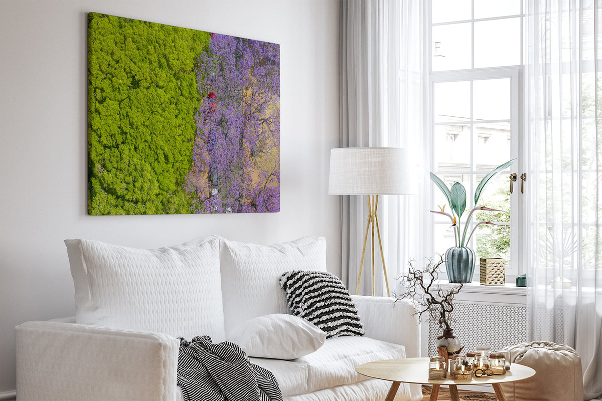 Purple Parade - Canvas White Room