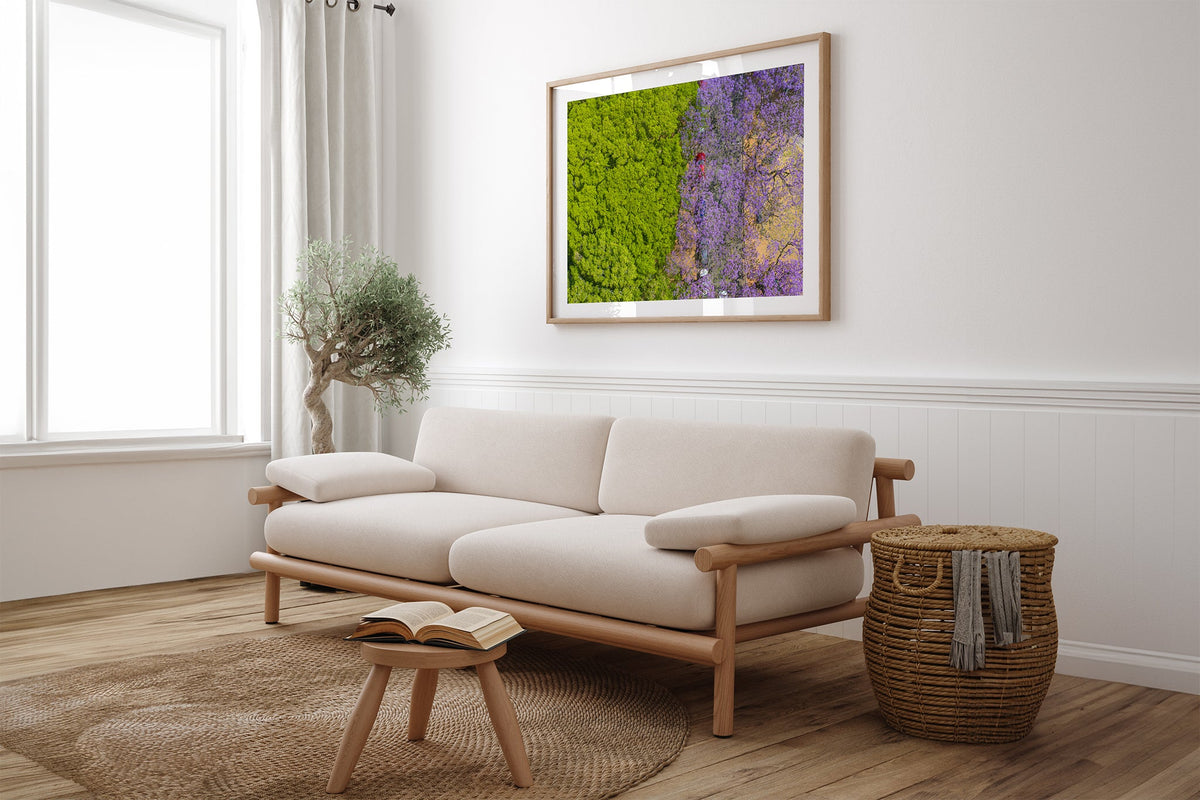 Purple Parade - Oak Couch