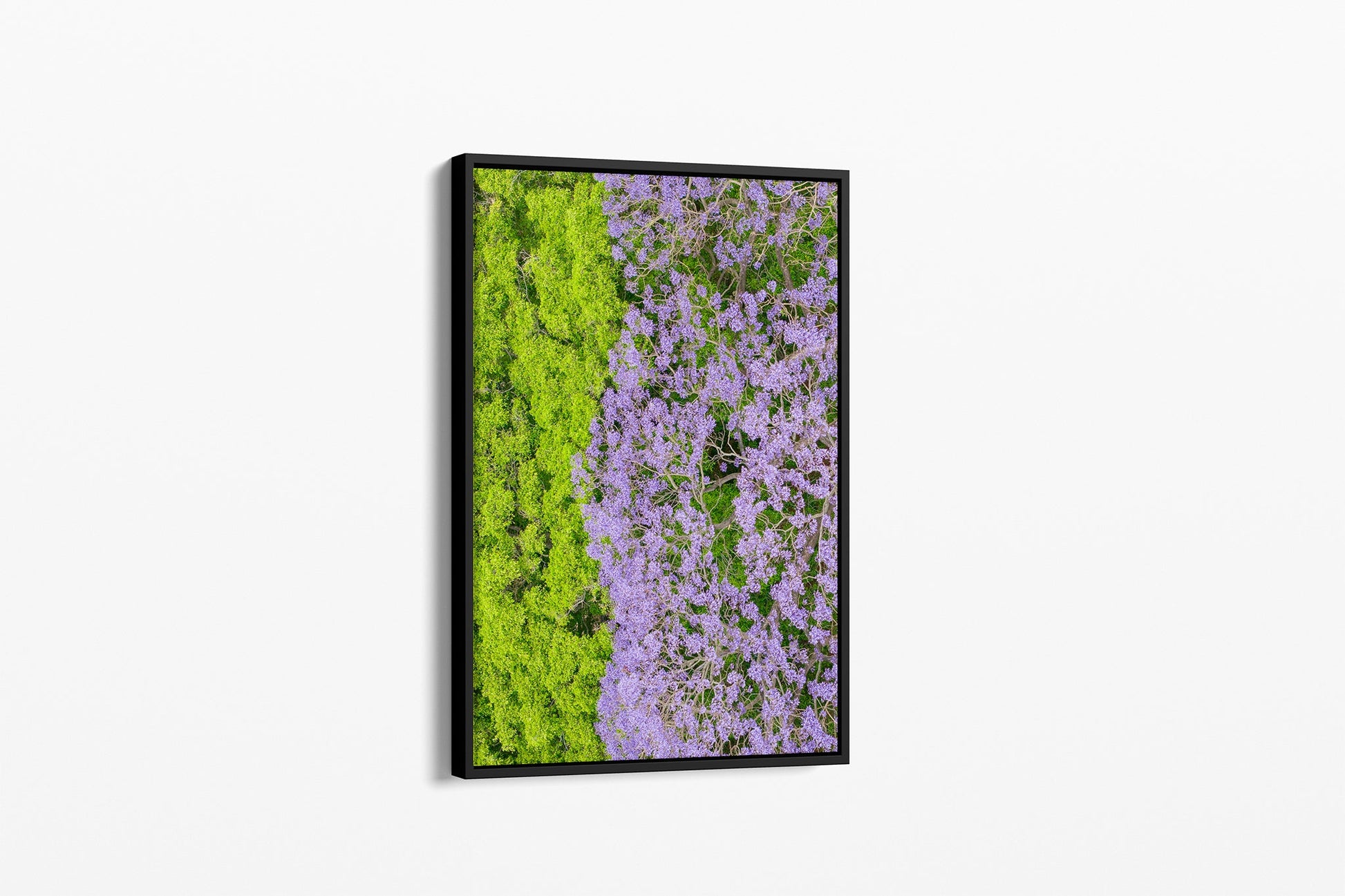 Canopy Contrast - Canvas Float Frame Black