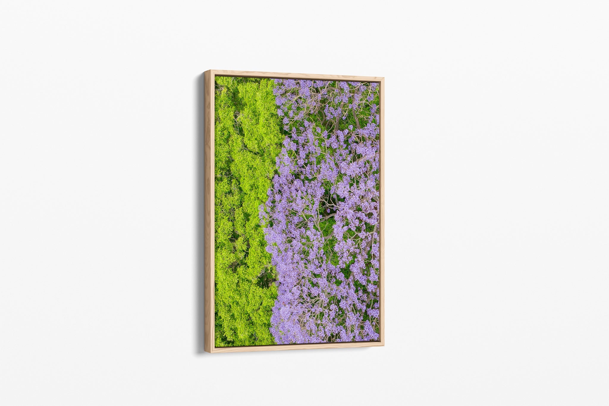 Canopy Contrast - Canvas Float Frame Oak