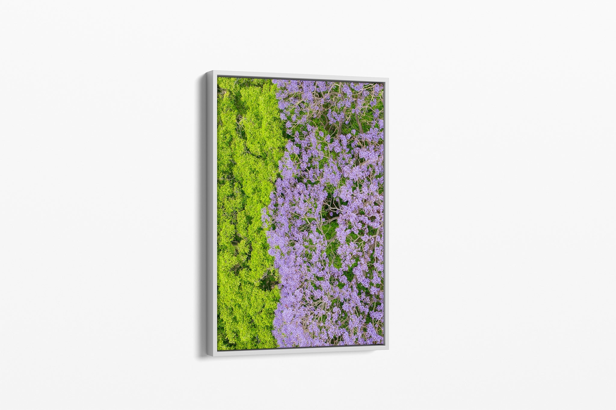 Canopy Contrast - Canvas Float Frame White