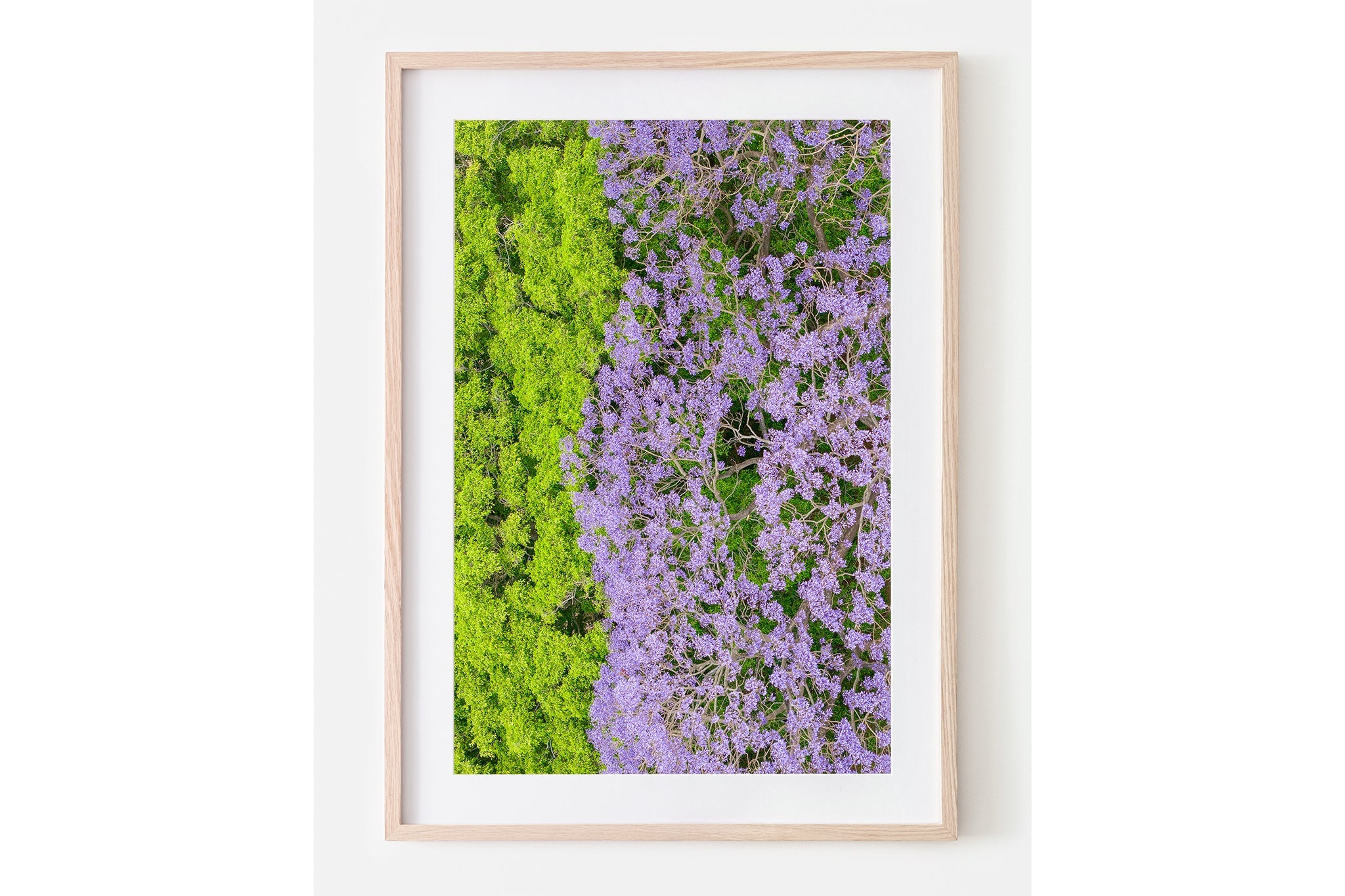 Canopy Contrast - Oak Framed Print