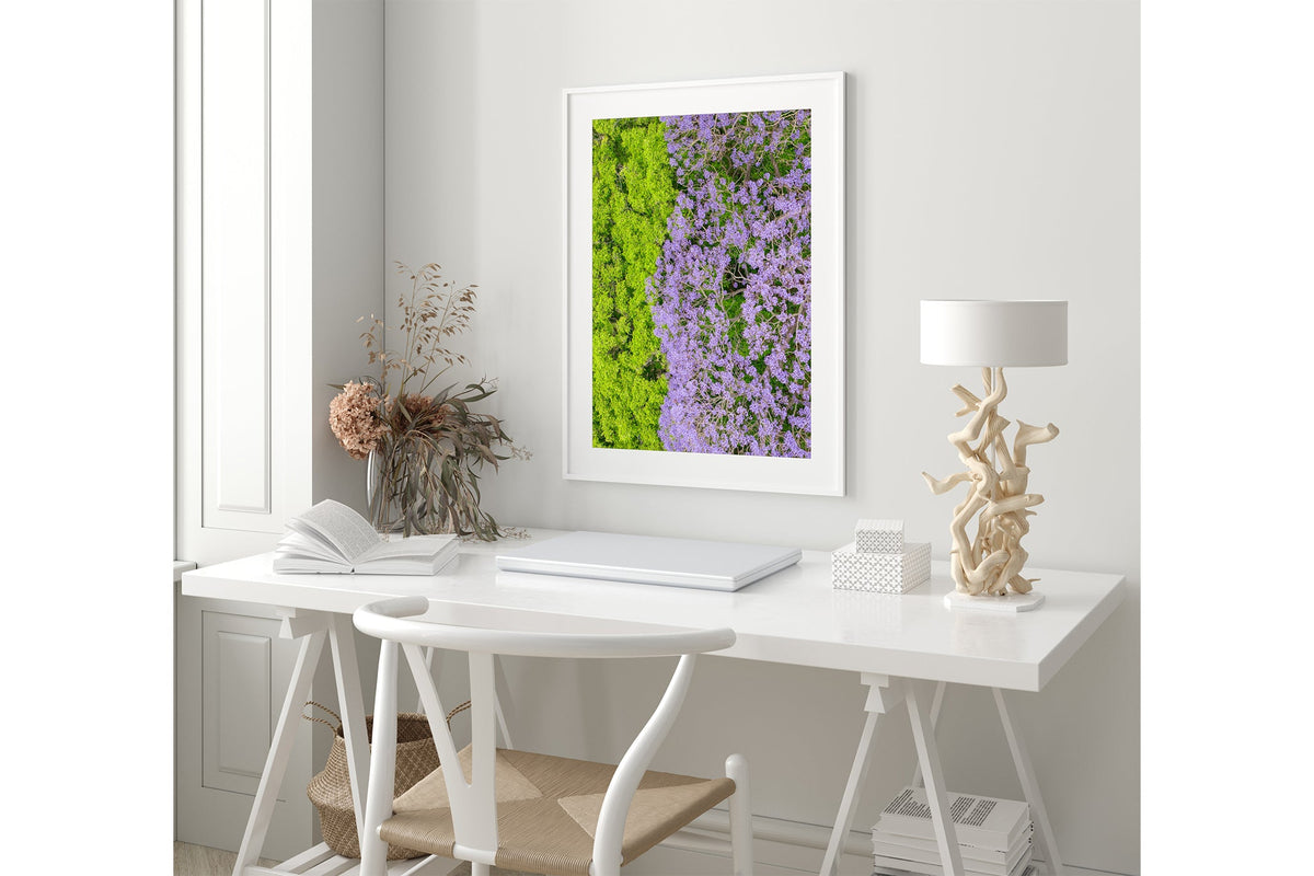 Canopy Contrast - White Frame Coastal