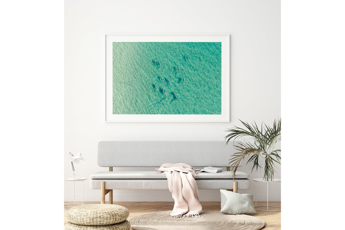 Moreton Bay dolphin pod print shown framed in white above a bench seat.