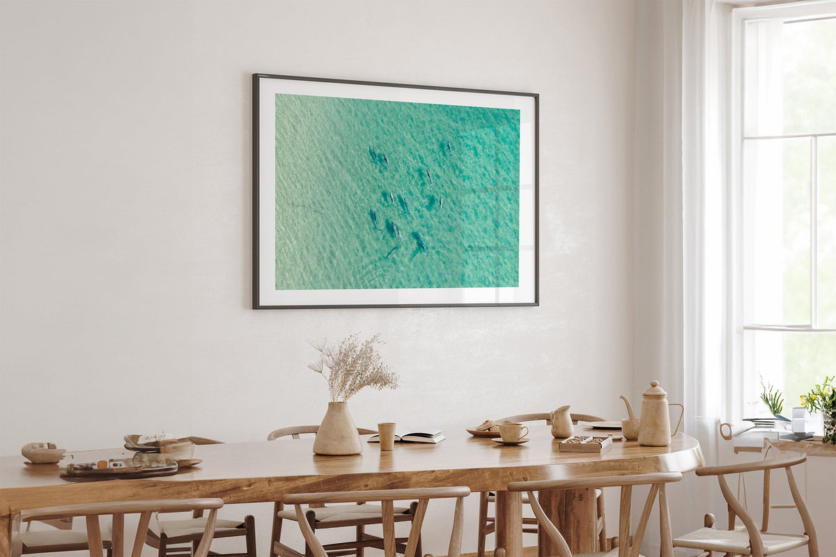 Moreton Bay dolphin pod print shown framed in black above an oak table.