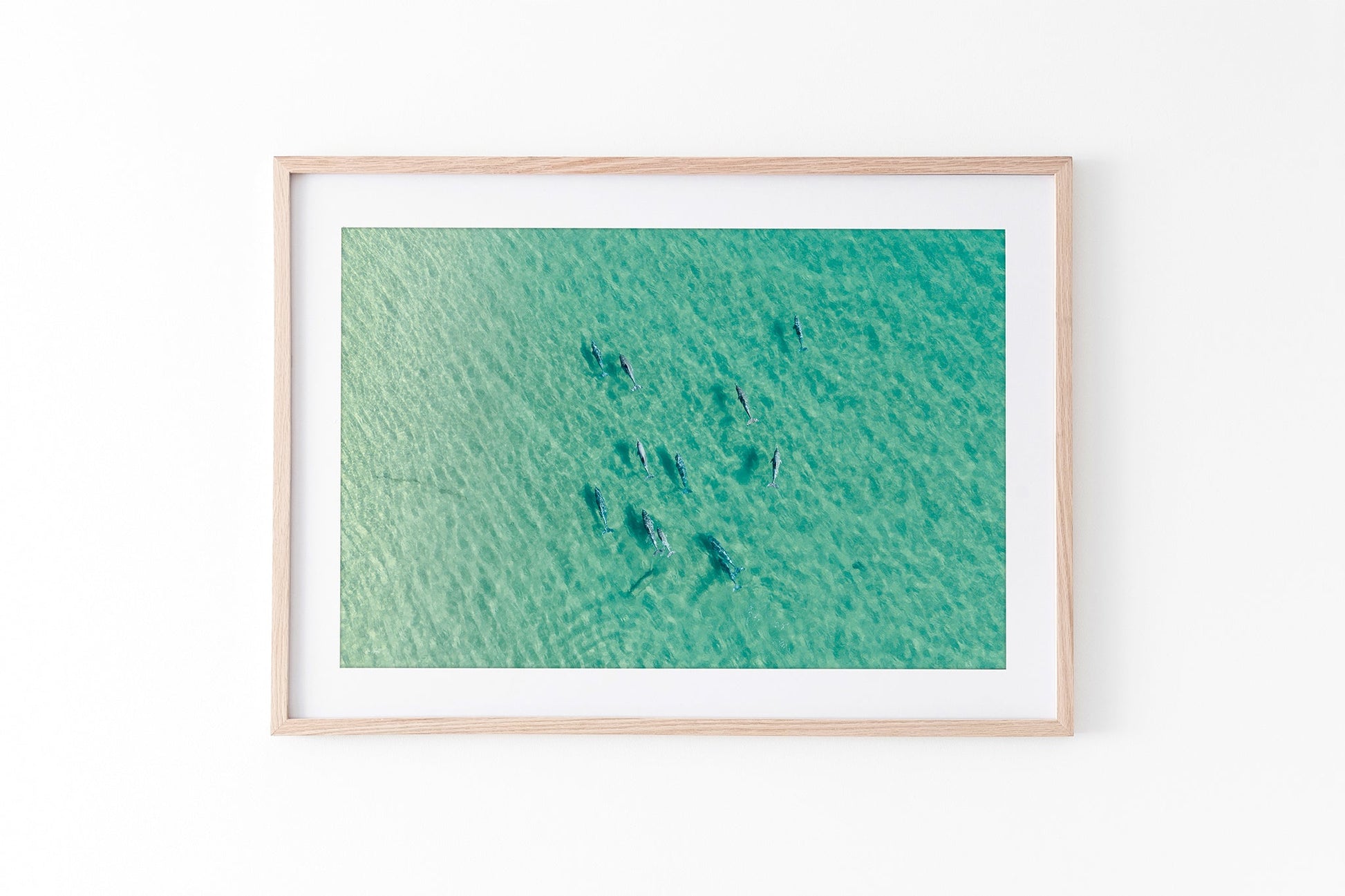 Moreton Bay dolphin pod print shown framed in oak.