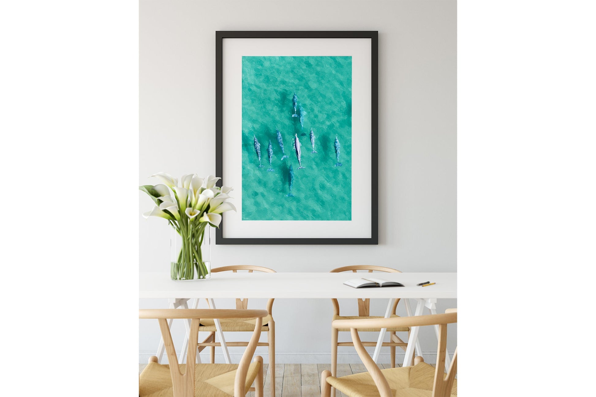 Moreton Bay dolphin print shown framed in black.