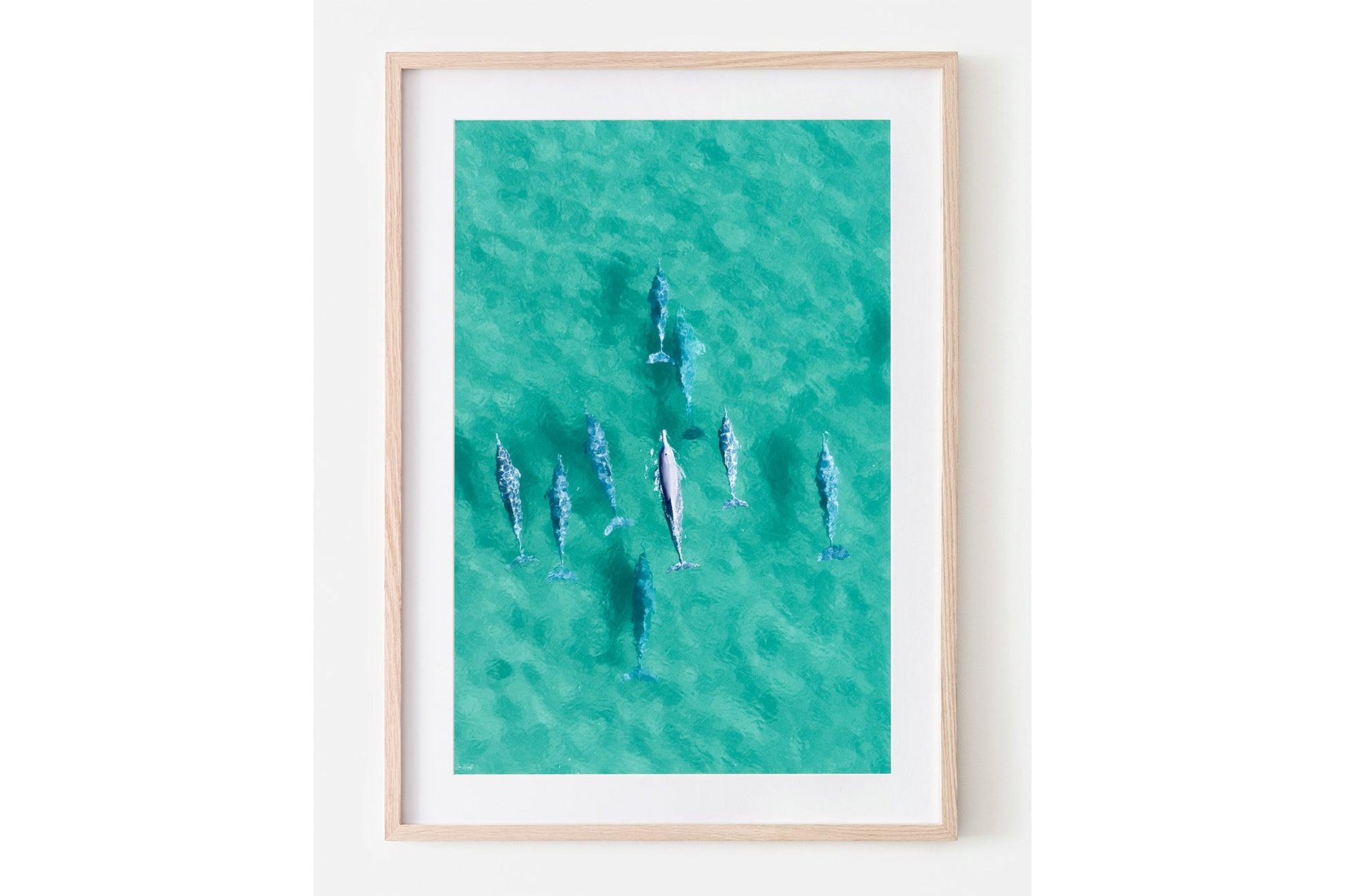Moreton Bay dolphin print shown framed in oak with a white mat.