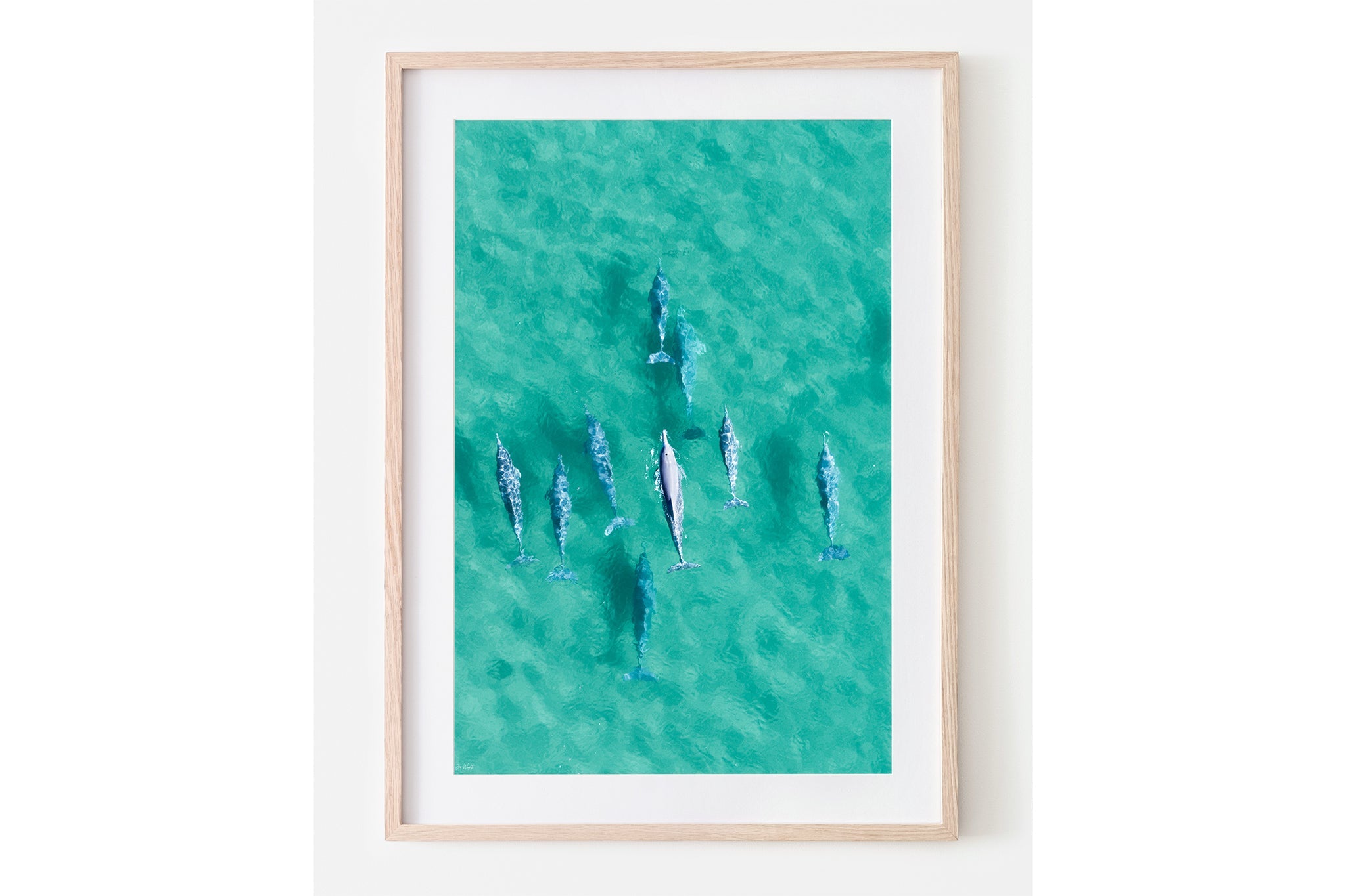 Moreton Bay dolphin print shown framed in oak with a white mat.
