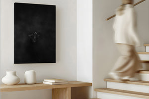 Dark Flight | Wildlife Collection (Copy)