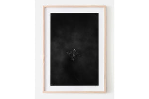 Dark Flight | Wildlife Collection (Copy)