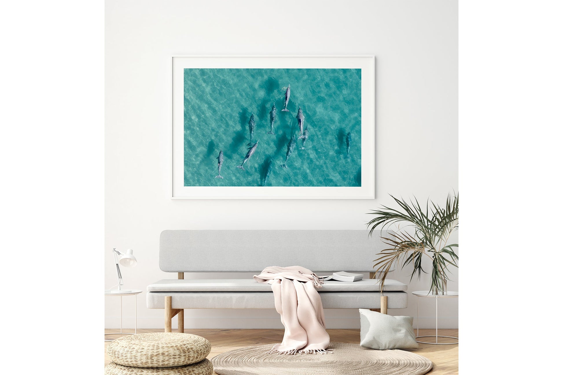 Moreton Bay dolphin print shown framed in white above a bench seat.