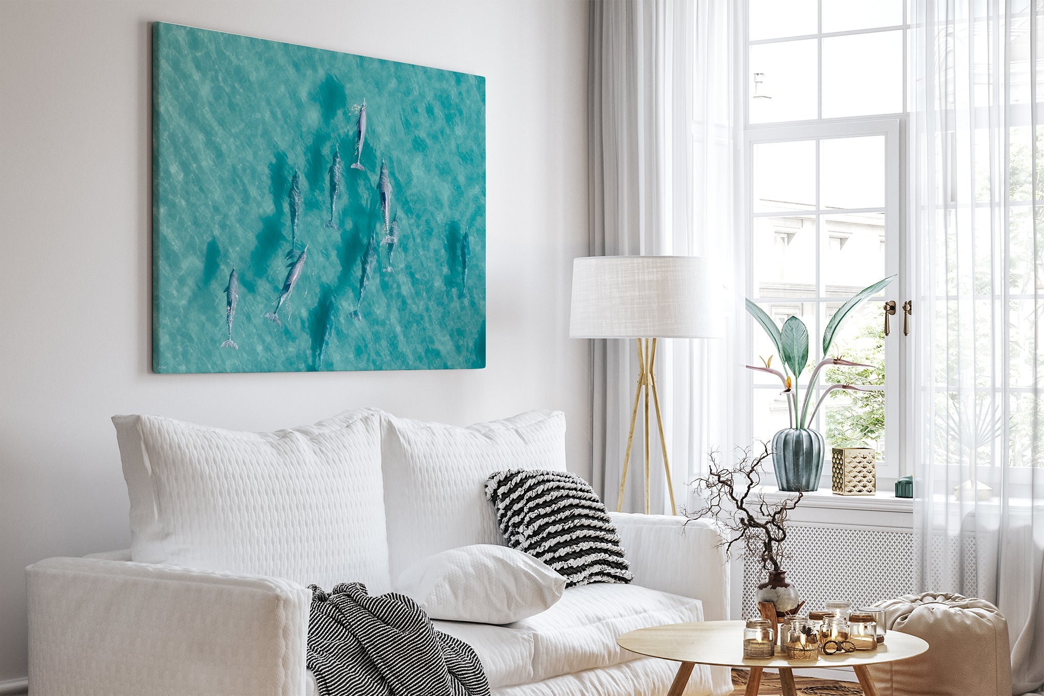 Moreton Bay dolphin print shown as a canvas in a white room.