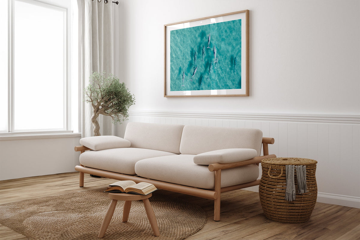 Moreton Bay dolphin print shown framed in oak above a linen couch.