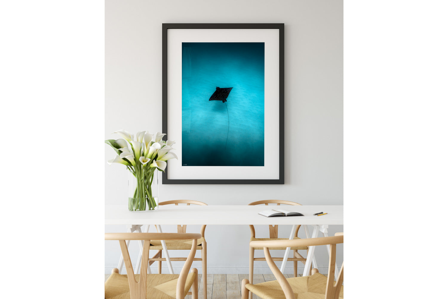 Eagle 1 Colour | Wildlife Collection