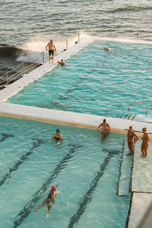 Early Bergs Gets The Worm - Bondi Beach- NSW, Australia