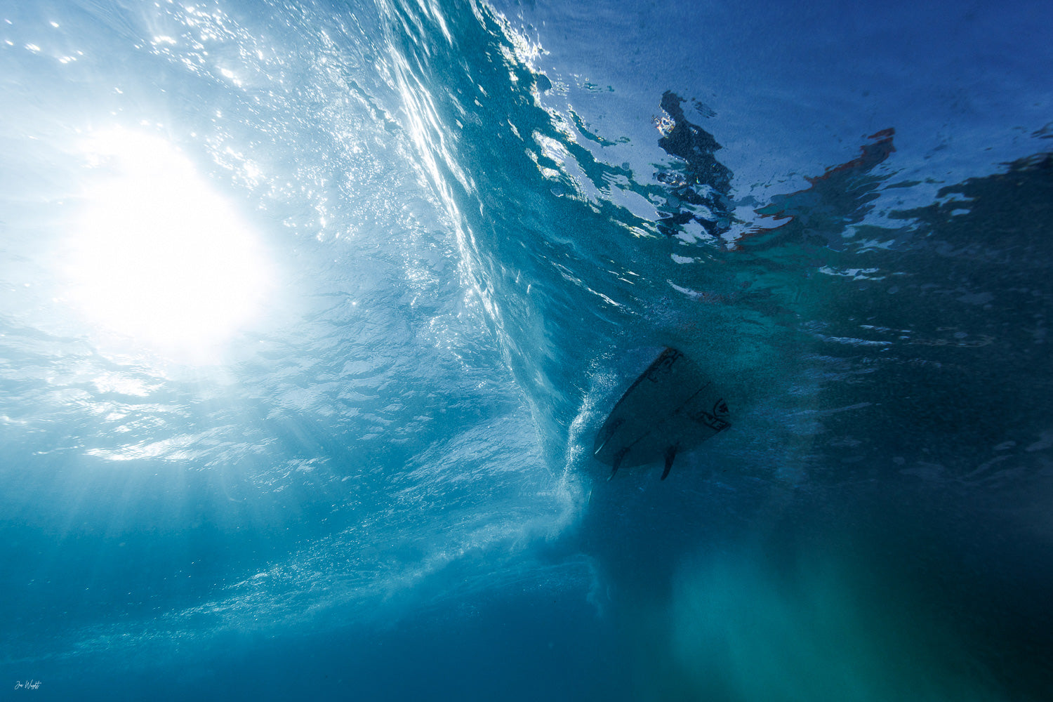 Fish Eye View | Surf Art Collection