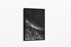 Here Comes The Sets - Currumbin, QLD Australia