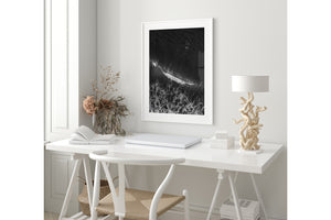 Here Comes The Sets - Currumbin, QLD Australia