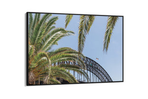 Harbour Palms - Sydney, NSW Australia