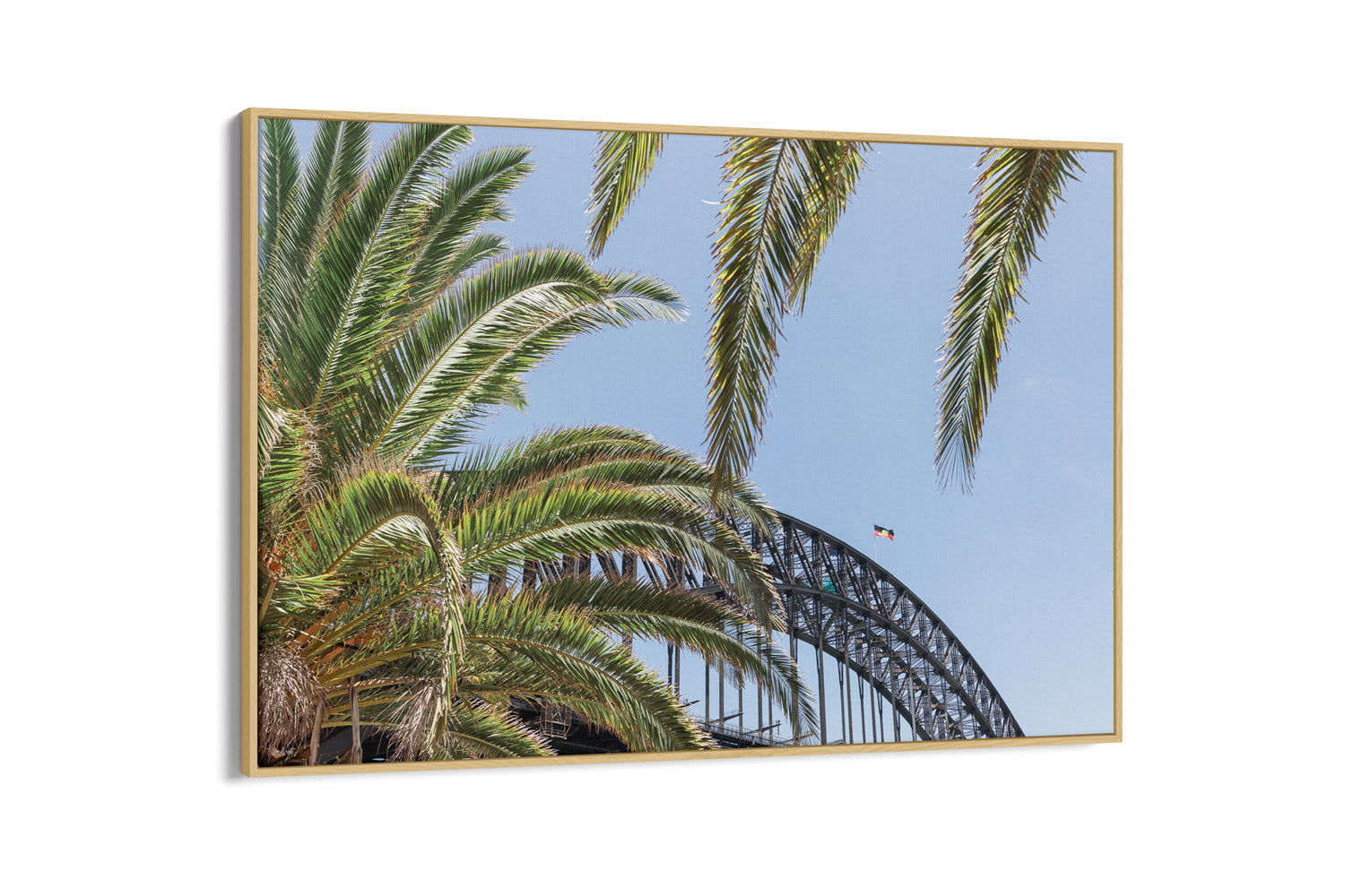 Harbour Palms - Sydney, NSW Australia