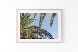 Harbour Palms - Sydney, NSW Australia