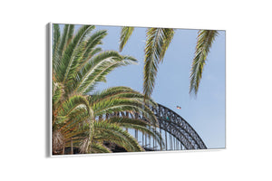 Harbour Palms - Sydney, NSW Australia