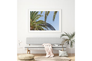 Harbour Palms - Sydney, NSW Australia