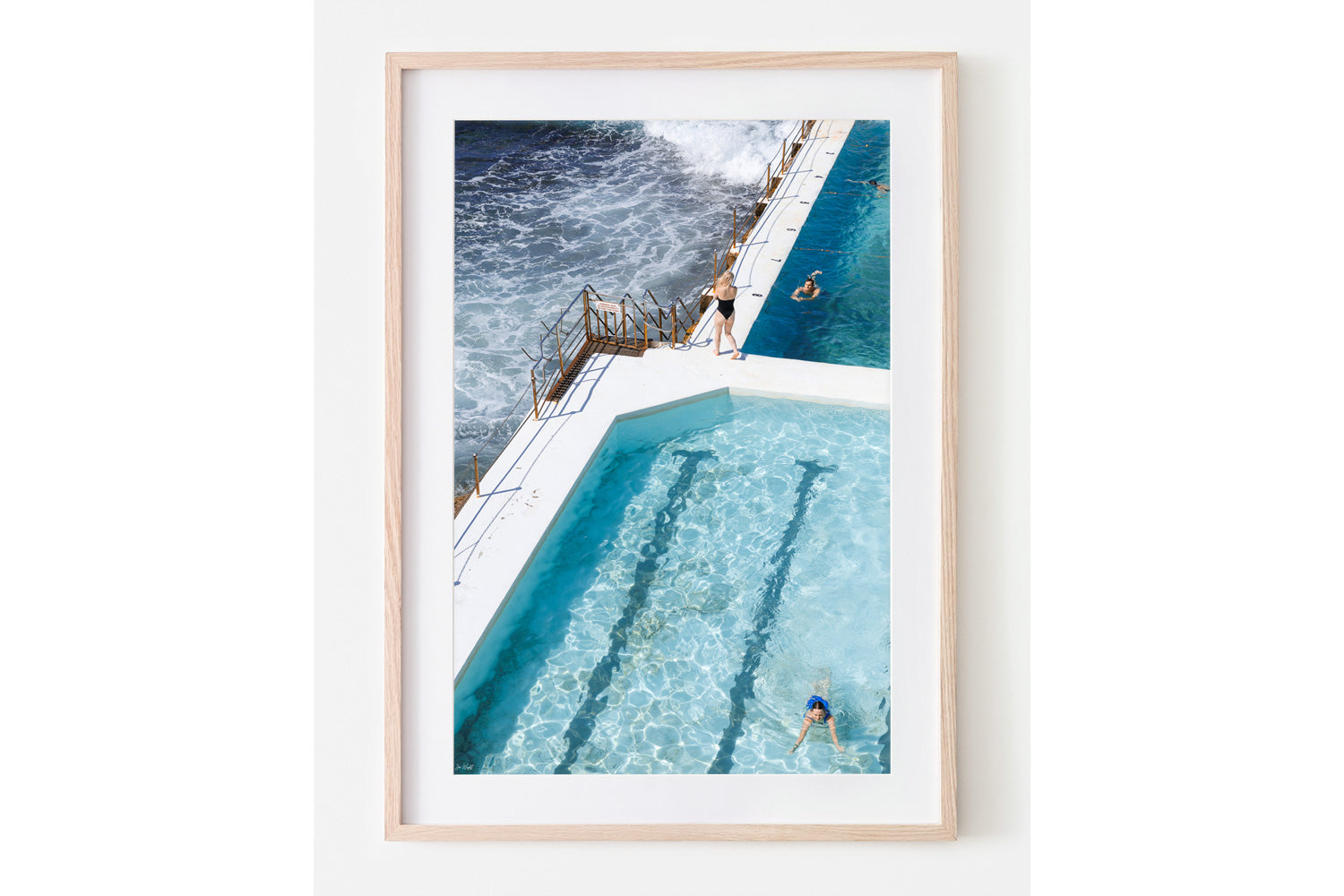 Iceberg Swimmers - Sydney, NSW Australia