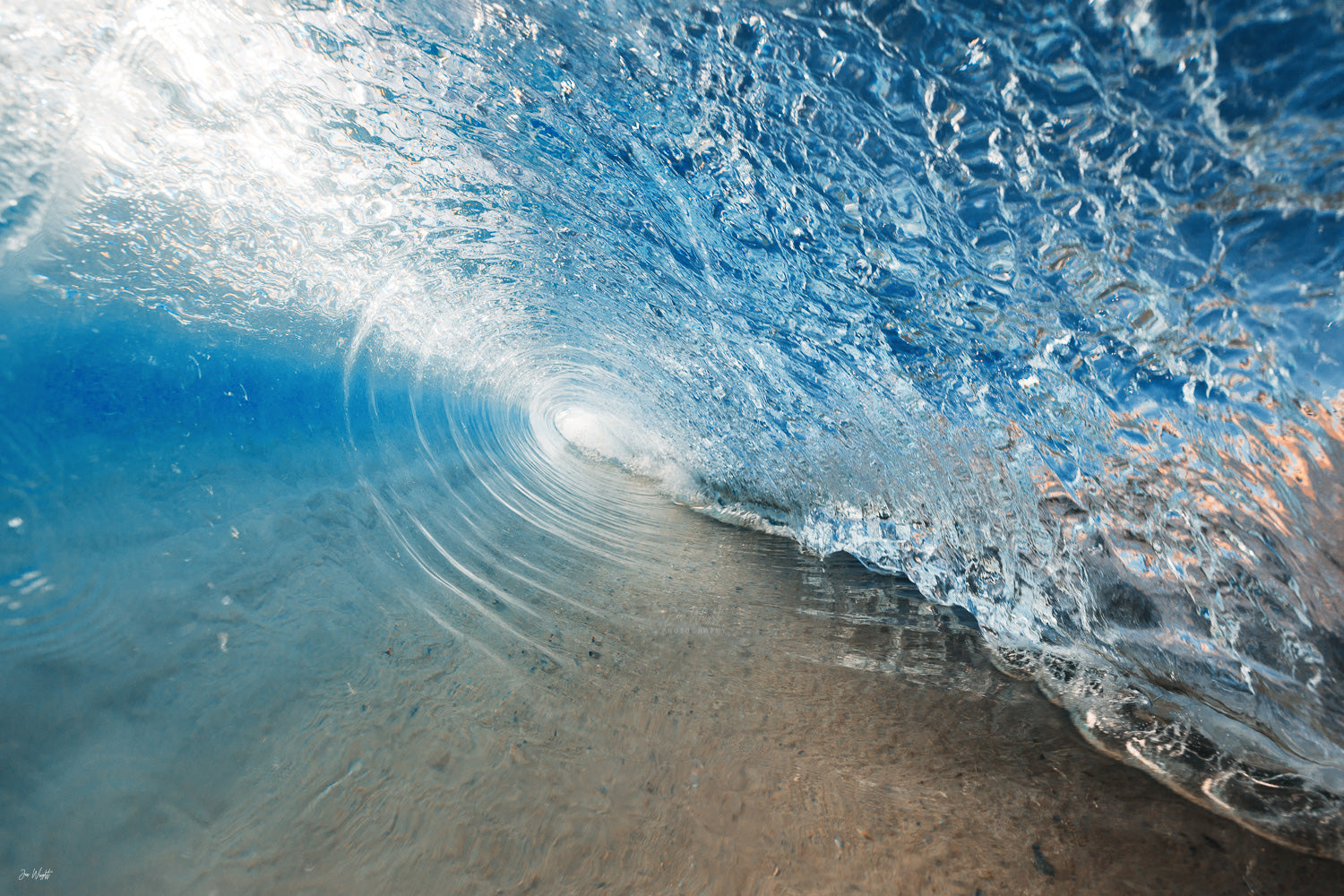 Ocean Jelly Roll Ocean Jelly Roll