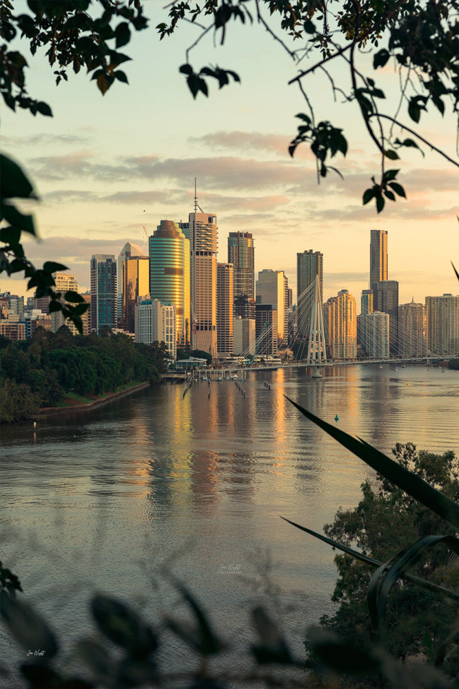 The Point Portrait - Brisbane City, Australia
