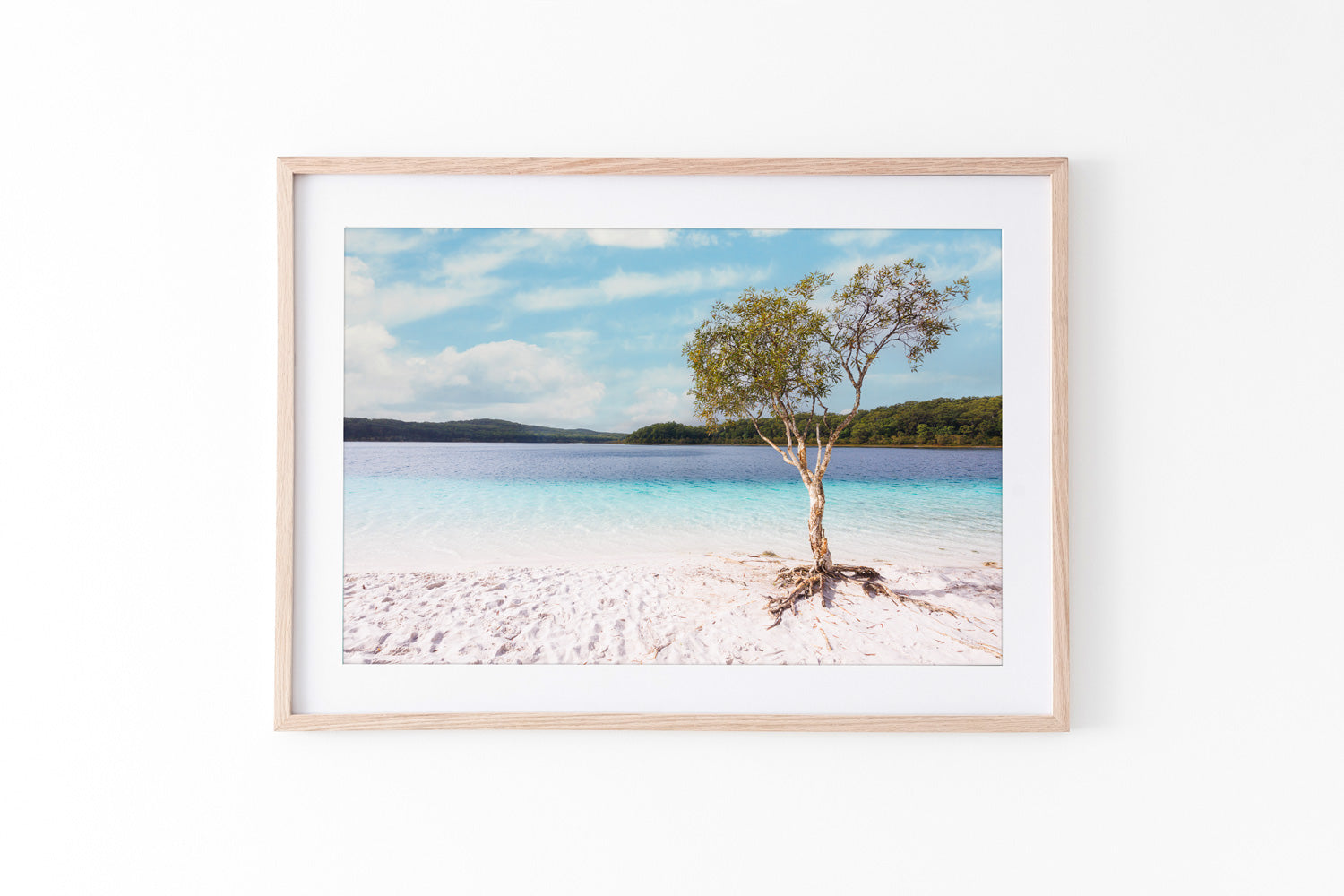 Paperbark Lake McKenzie - K'Gari - QLD