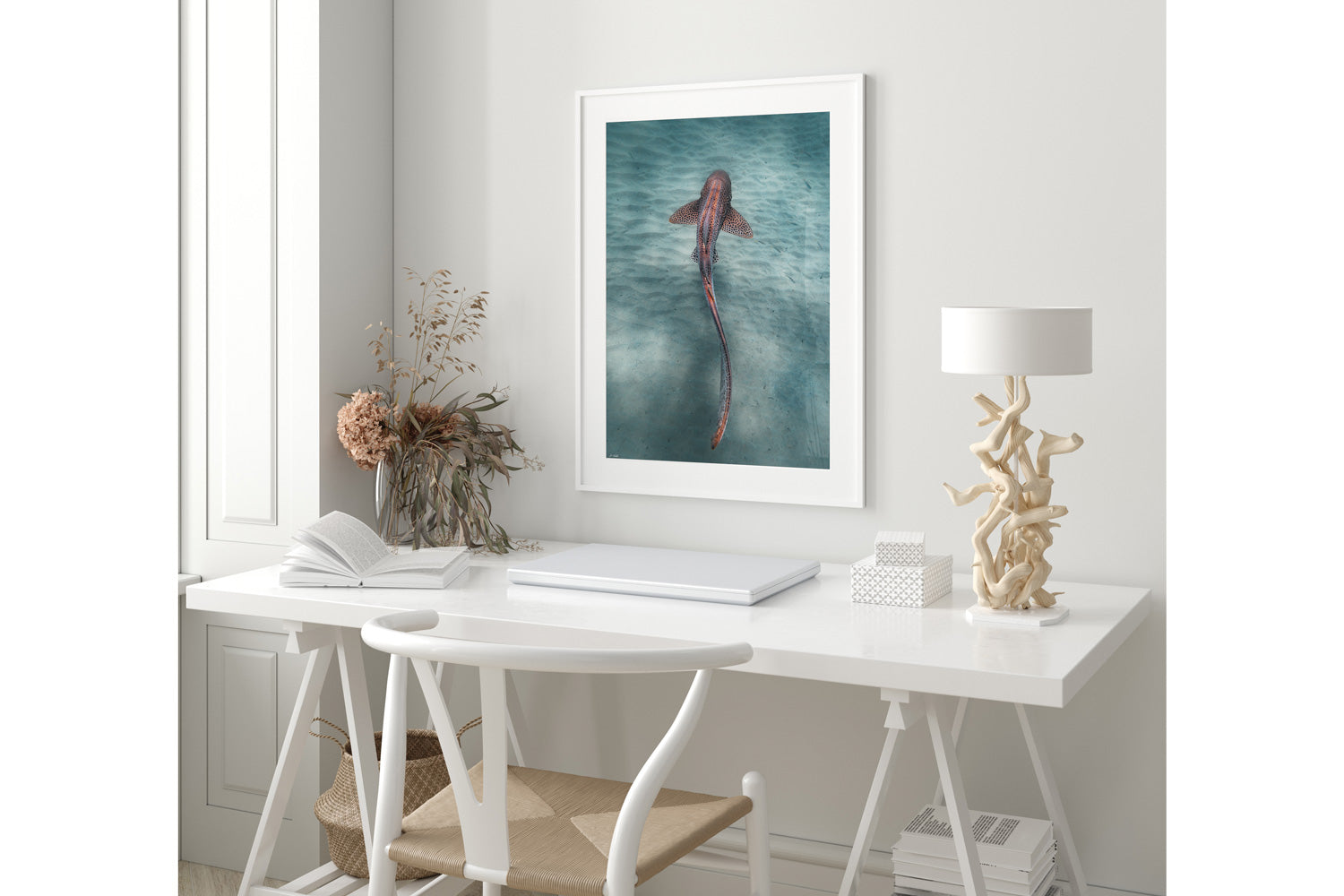 Leopard Shark Colour | Wildlife Collection