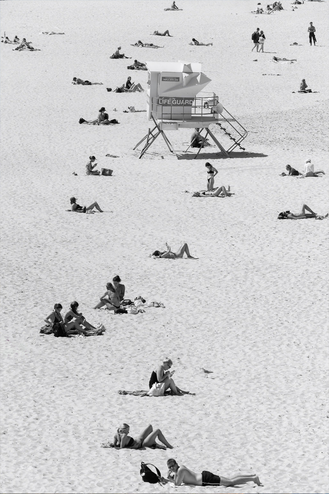 Bondi Beach Lifeguard Tower Print