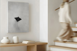 Light Flight | Wildlife Collection