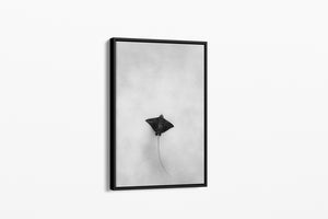 Light Flight | Wildlife Collection