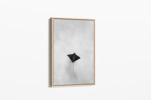 Light Flight | Wildlife Collection