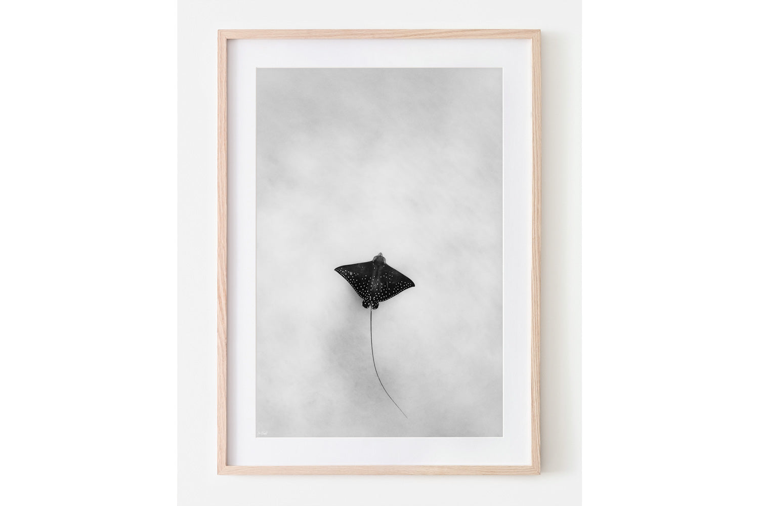 Light Flight | Wildlife Collection